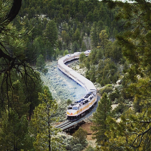 A train snakes down a mountain track with dense forest either side