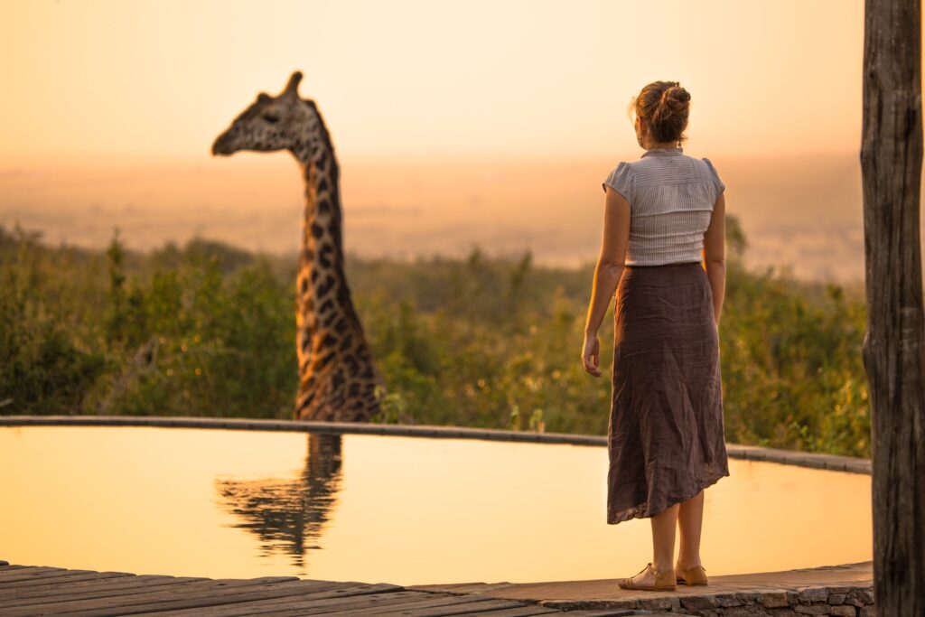 Image of a woman standing on the edge of a swimming pool at sunset, looking towards a giraffe walking through the undergrowth beyond the pool