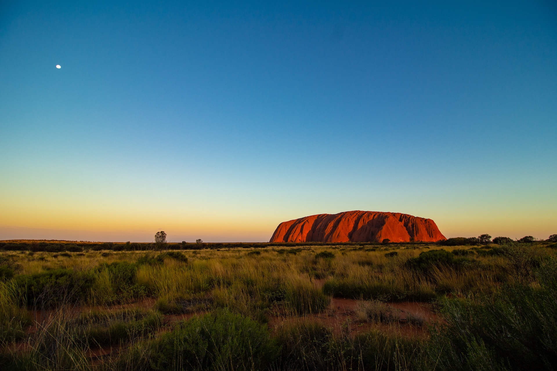 Image of Uluru just after sunset, glowing red against the darkening sky