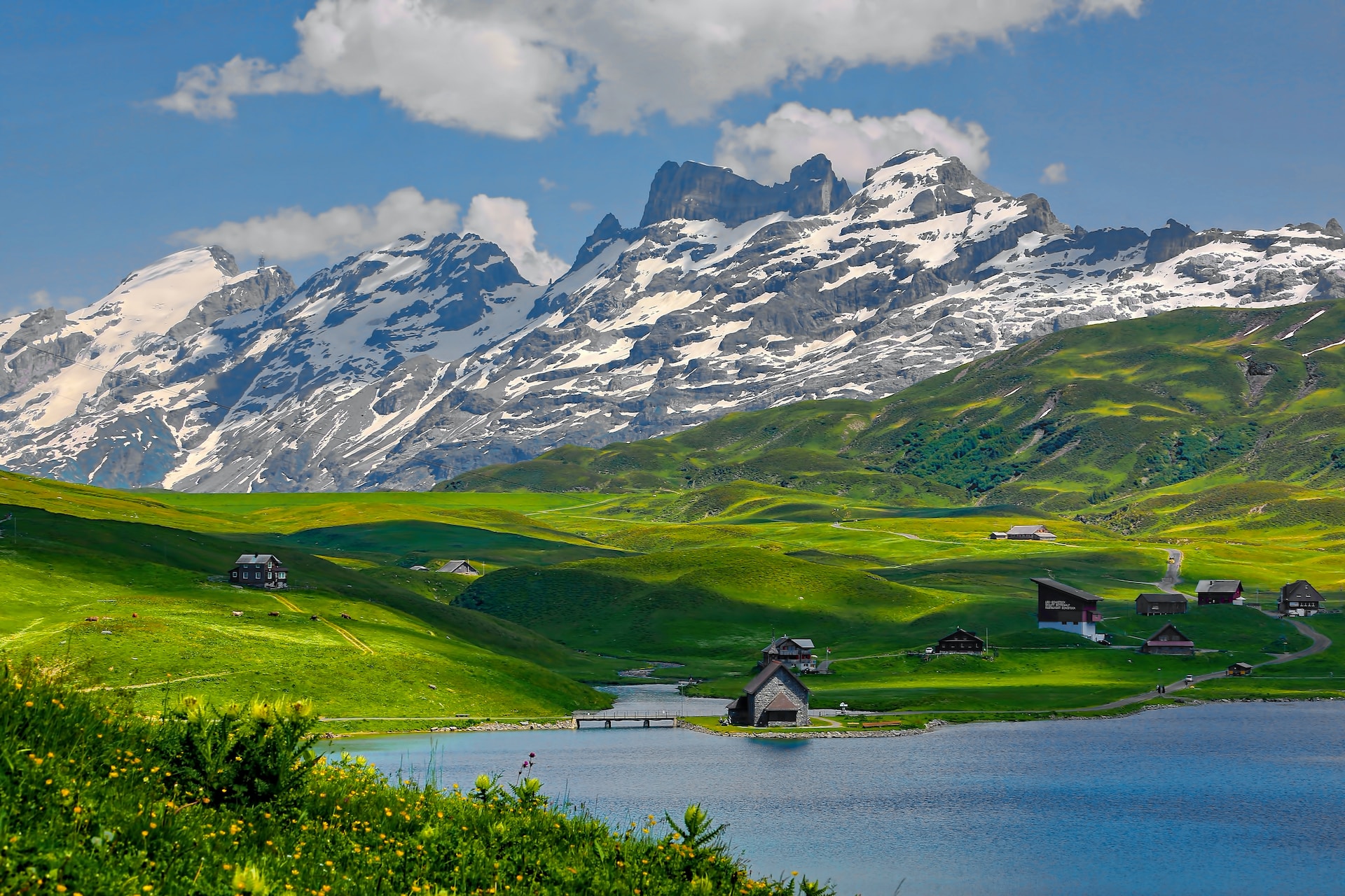 View of an alpine meadow in the Swiss Alps, with a lake in the foreground, and traditional wooden houses dotting the green meadow in the middle ground. In the background, snow-covered peaks