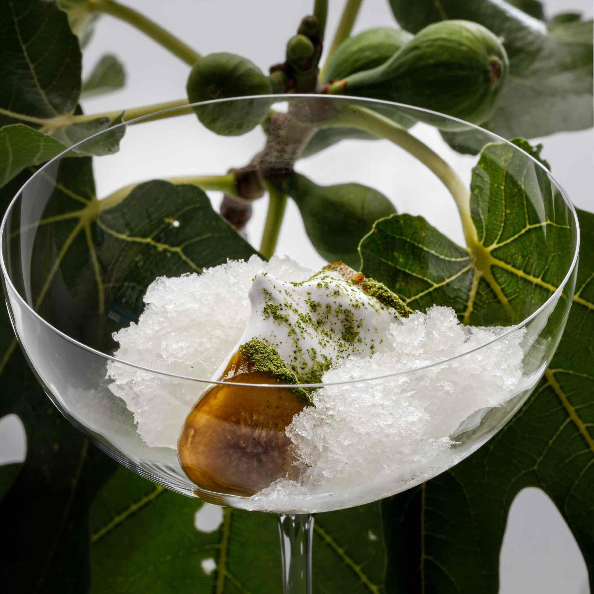 Close top of ice and food in glass with foliage in background