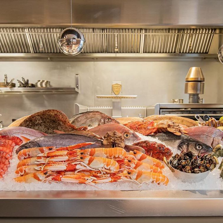 Fresh seafood sits on a bed of ice on display in a high end restaurant