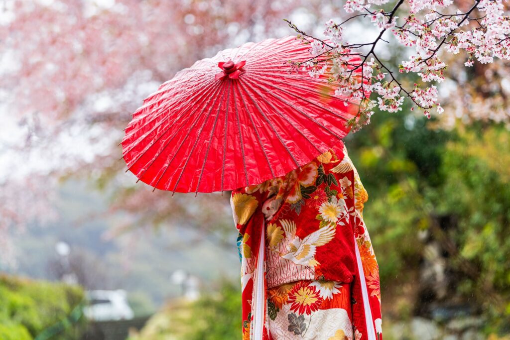 A lady in a kimono with a bright red parasol stands under pink cherry blossom trees.