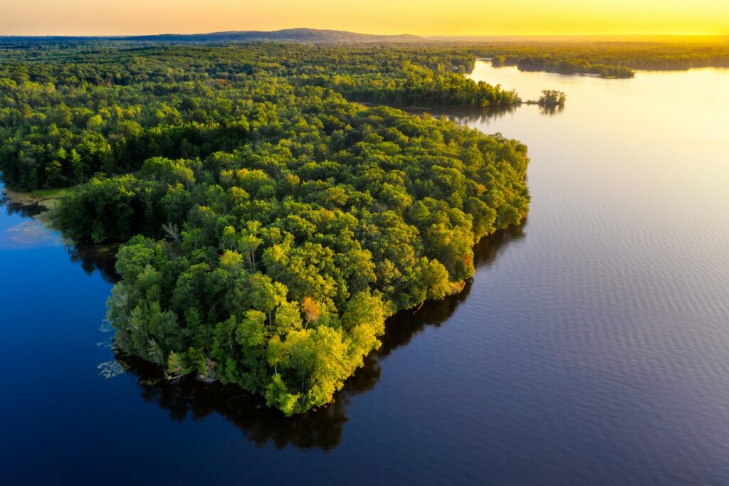 Amazon River South America