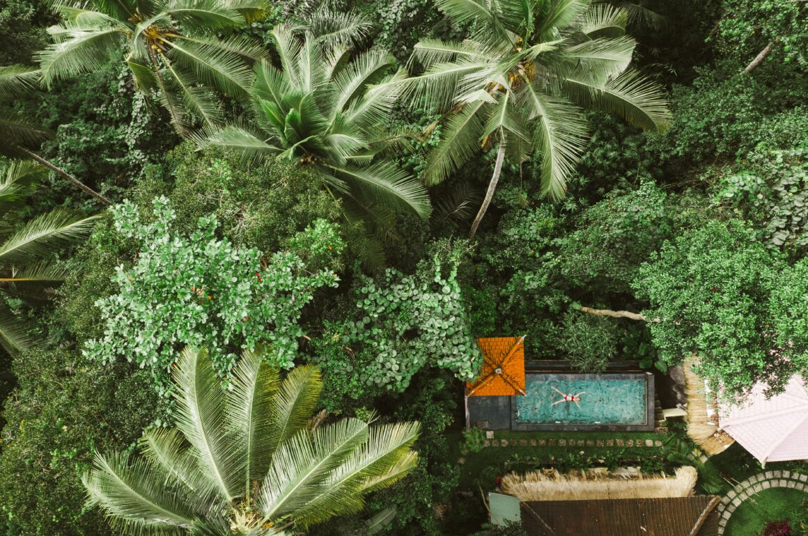 aerial view of swimming pool in jungle