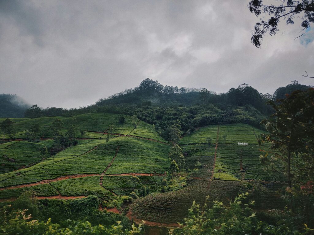 Nuwara Eliya, Sri Lanka