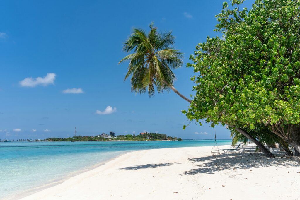 A white sand beach in the Maldives with blue sea and a blue sky