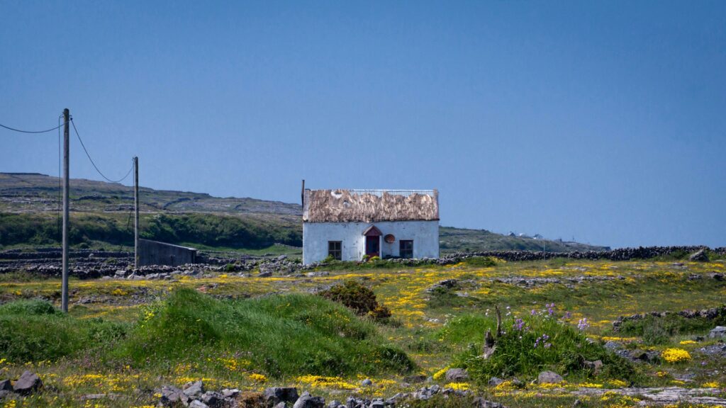 Solitary white farm house in a lush green landscape against blue sky