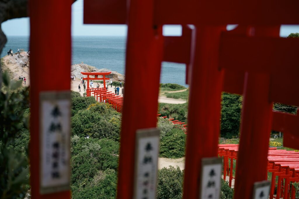 Photo looking through gaps from inside tunnel of torii gates at Motonosumi Shrine, Yamaguchi